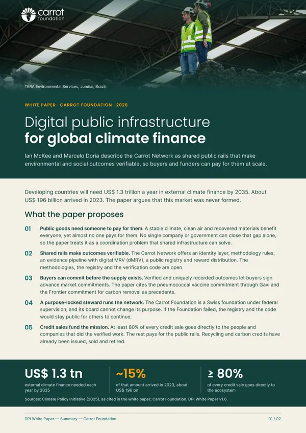 Two-pager DPI (white paper), página 1.